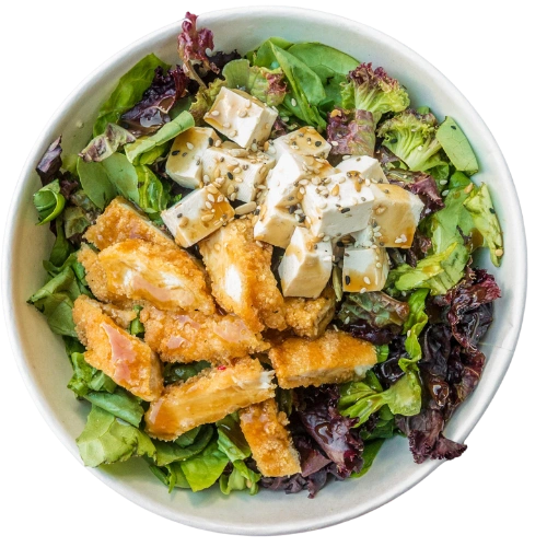 bowl-2
